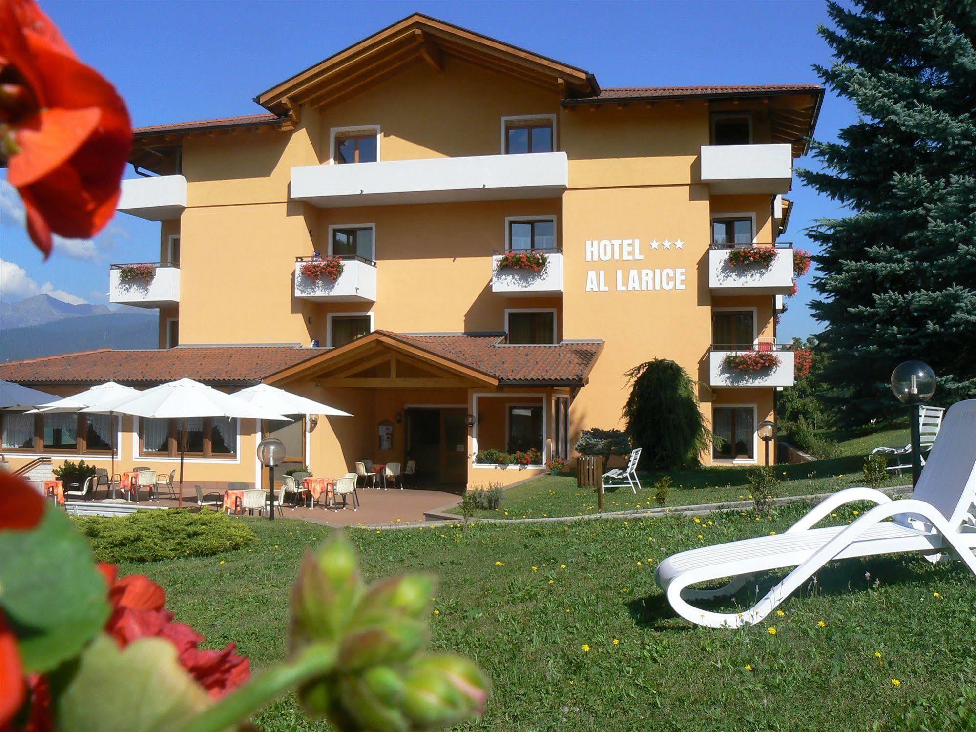 & Al Larice Hotel Rontzaun