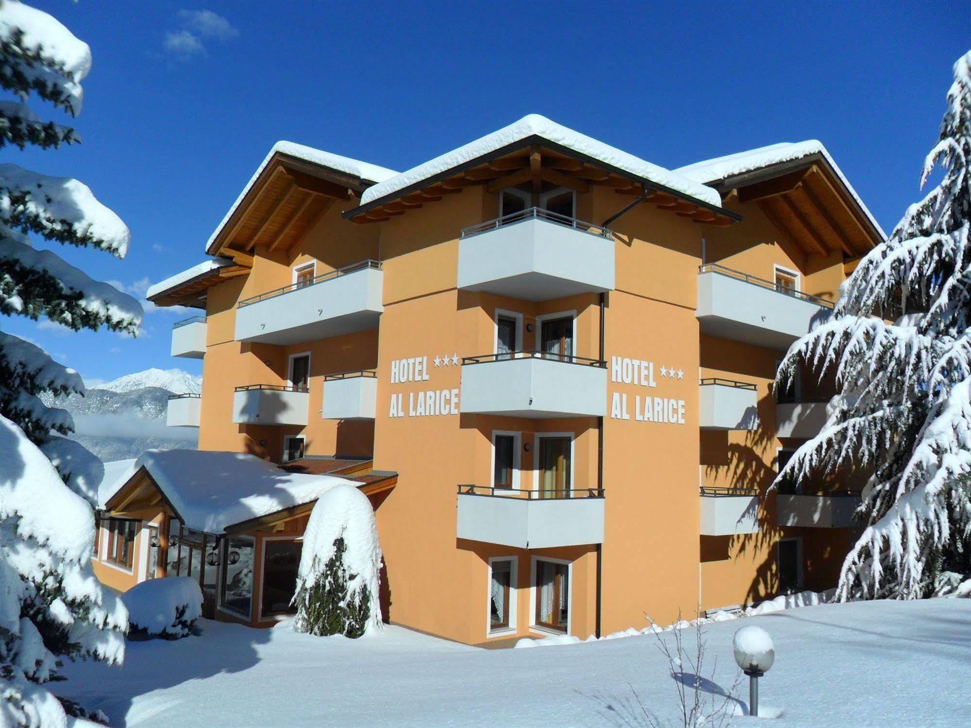 Hotel & Al Larice Rontzaun